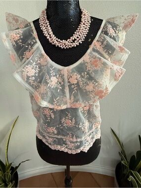 Dygarni California Sheer Pink Mesh Ruffle Top With Floral Embroidery Size Large